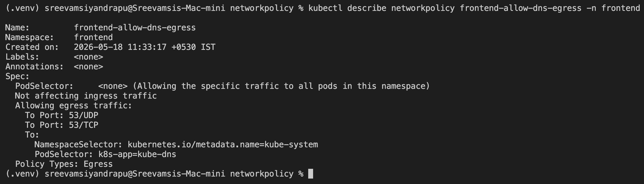 DNS egress allow policy