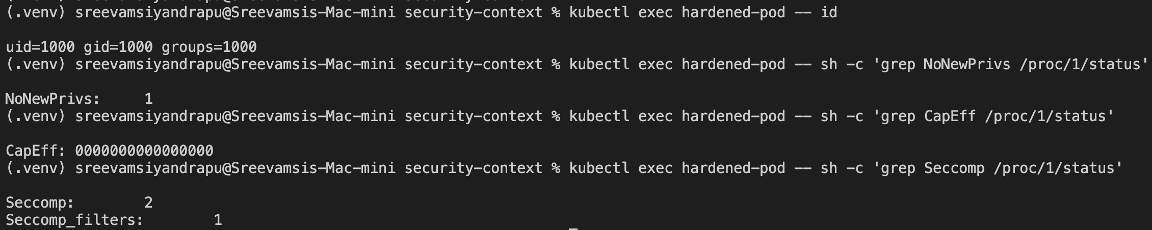 Hardened pod runtime verification